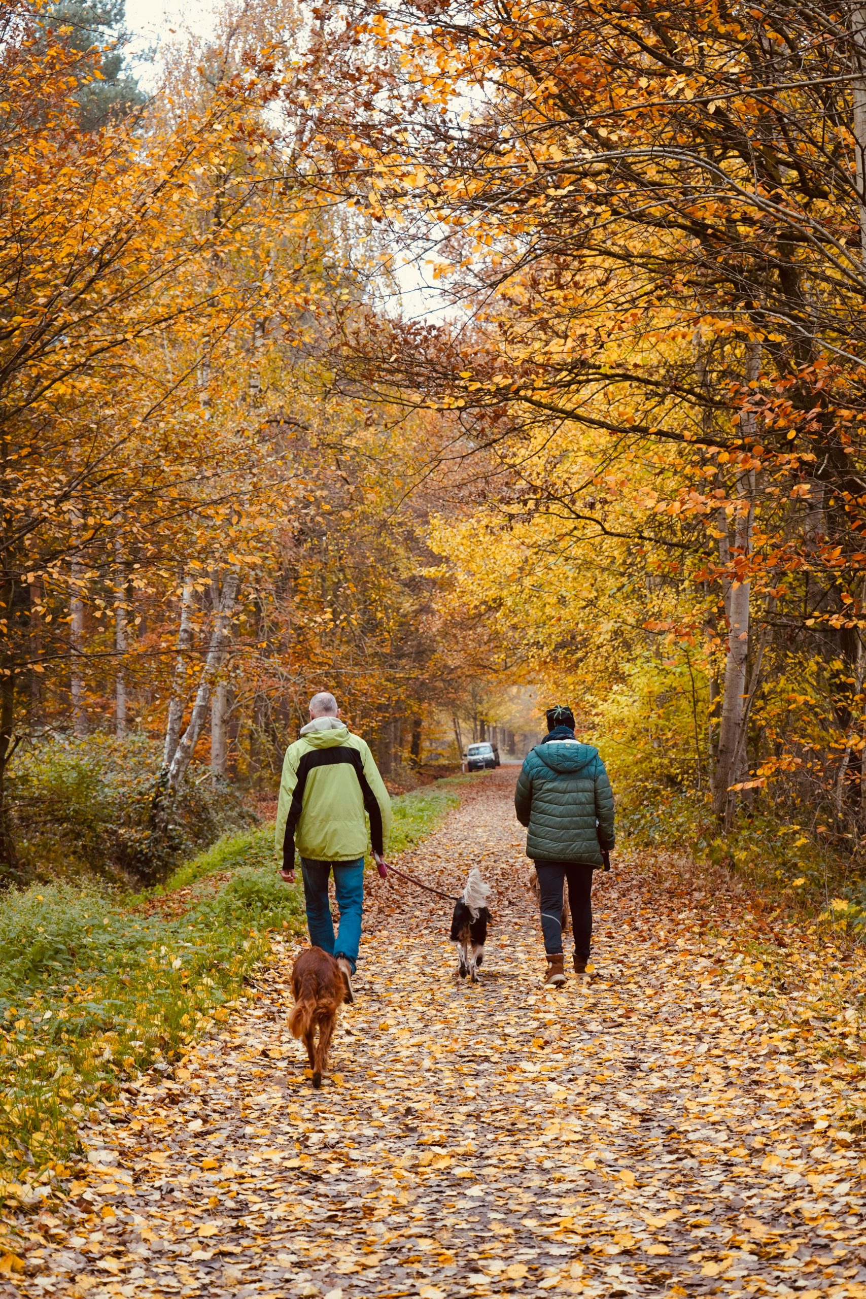 Family walking in the woods.
