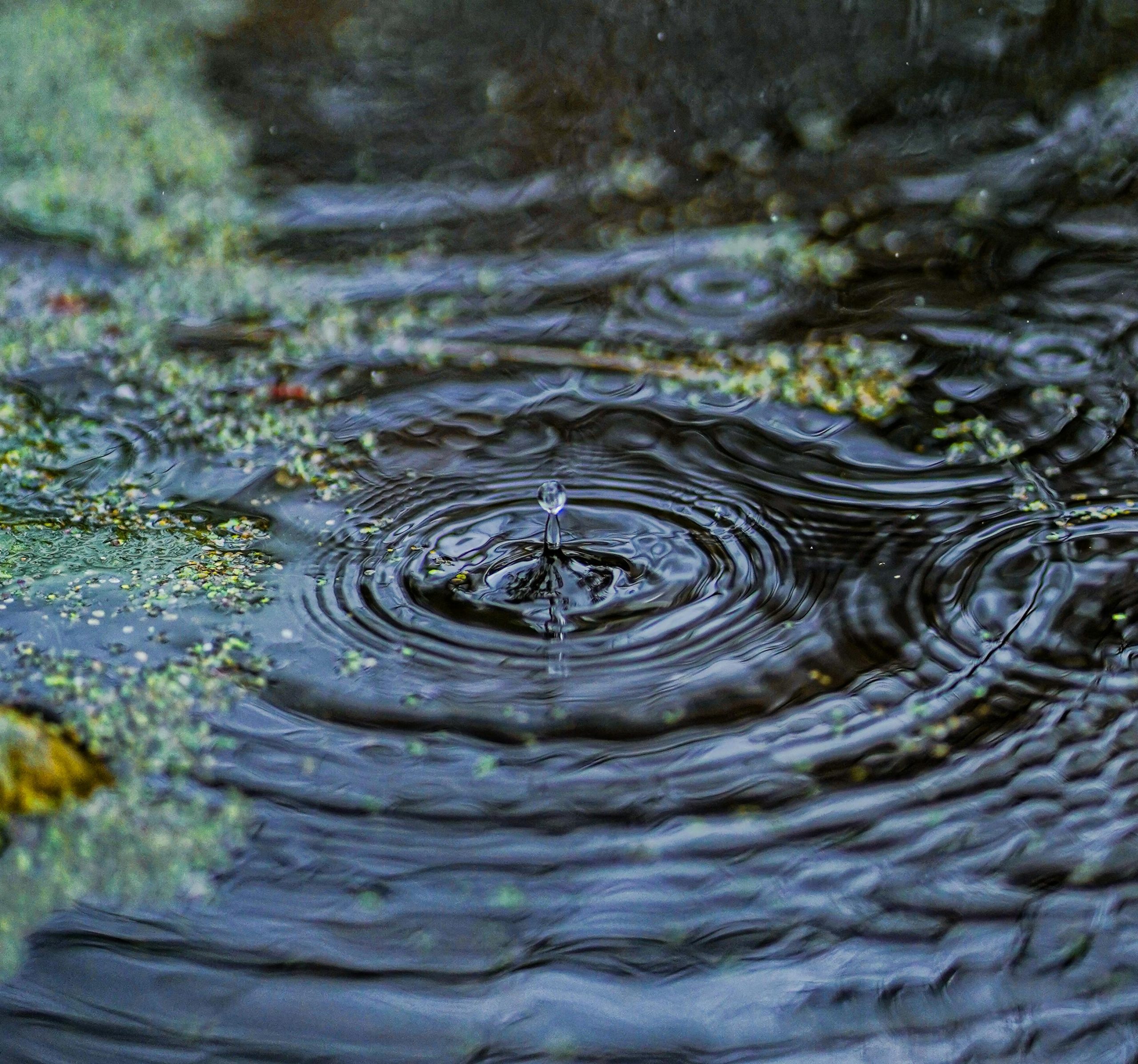 Droplet of water creating a ripple effect.