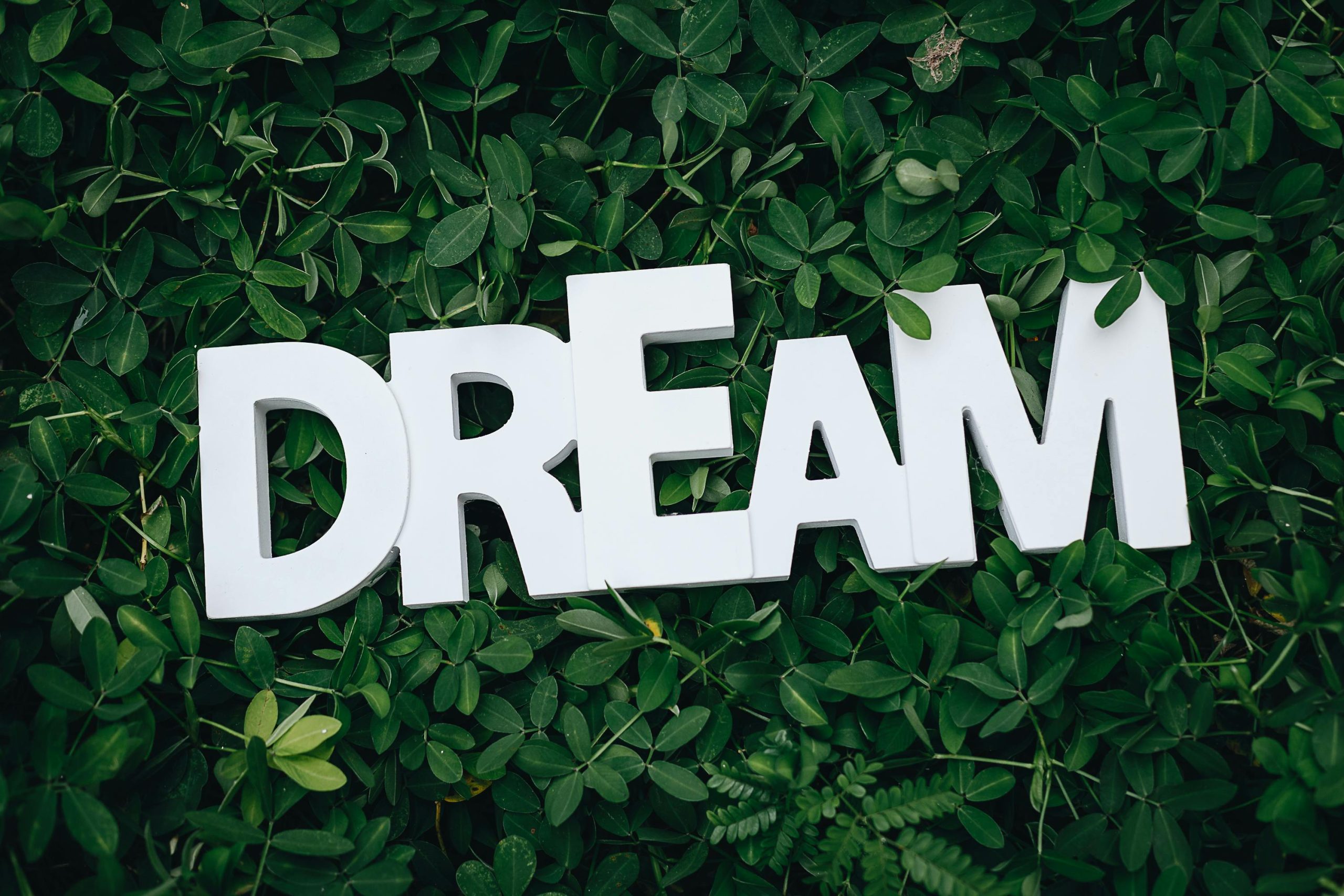 White letters spelling the word dream on a green background.