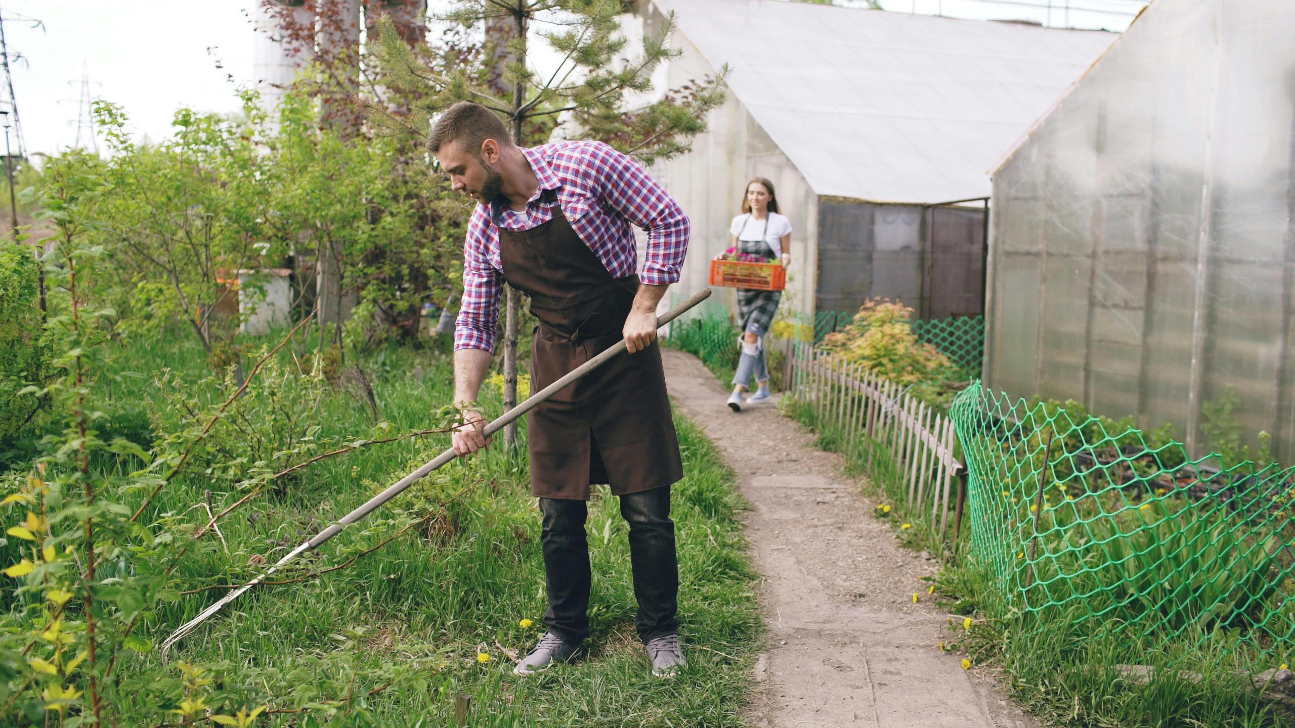Couple tending to their garden.